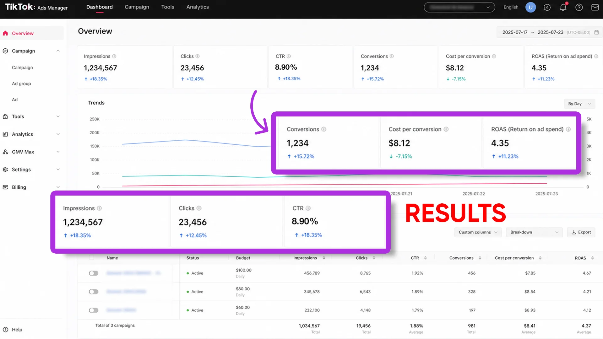 TikTok Ad Analytics 1