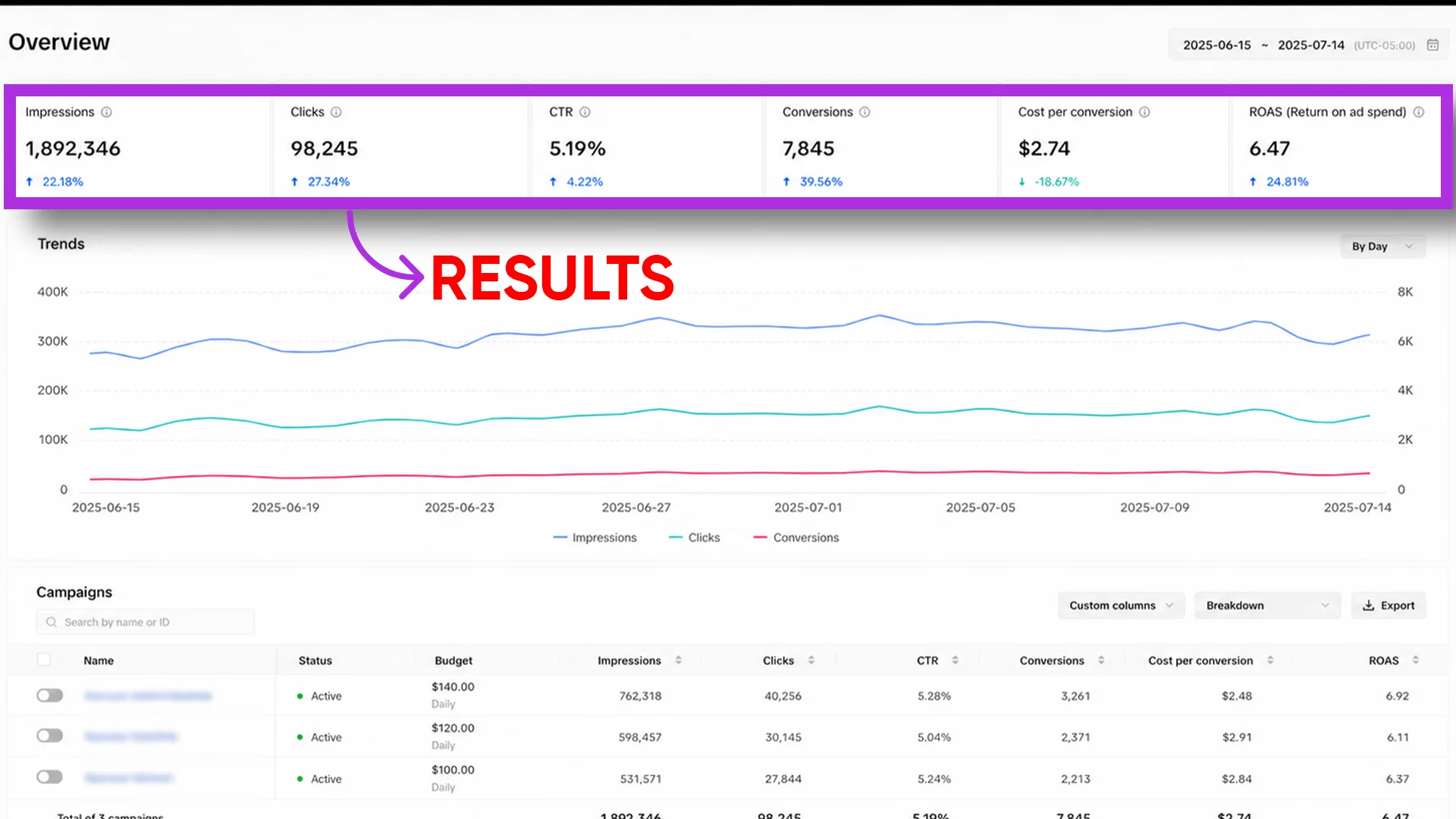 TikTok Ad Analytics 6